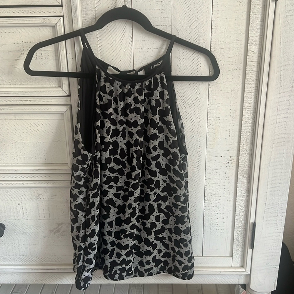 Express dressy top